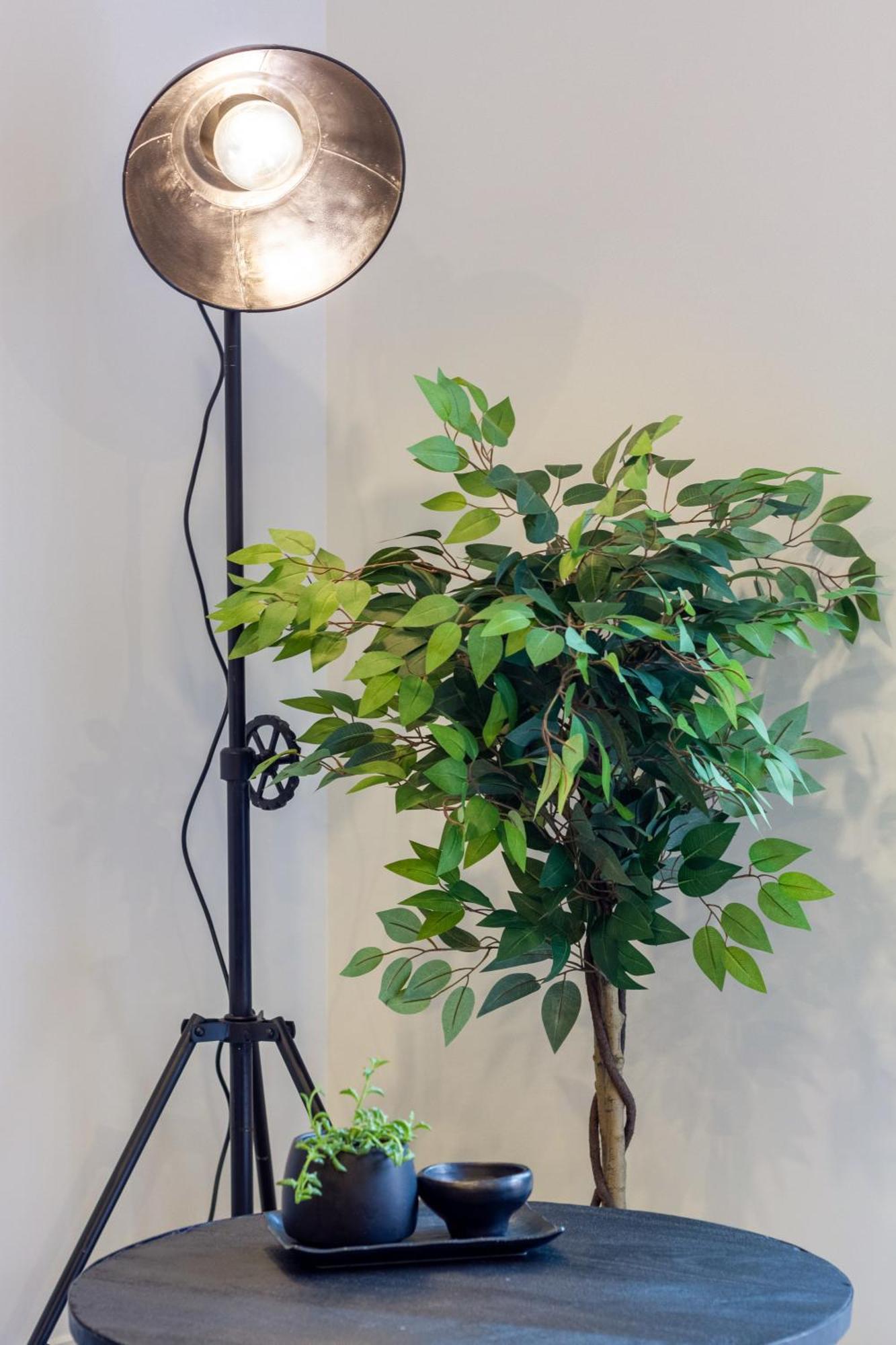 Merivale Gem: 2Br Townhouse Oasis Christchurch Bagian luar foto